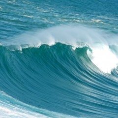 You don’t need to have an office to have an impact