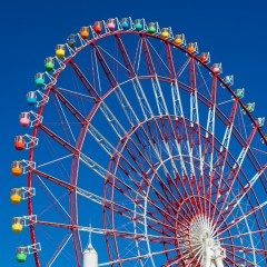 The Emotionally Intelligent Leader