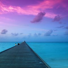 A story of ownership