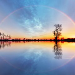 Are you a realistic optimist?