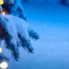 January focus: Work smarter, not harder