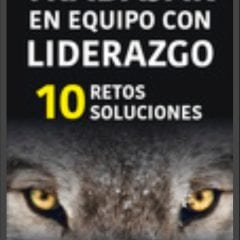 Leading teams in Spanish and Vietnamese