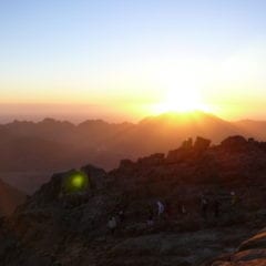 7 Tips for steering your Team through the unexpected