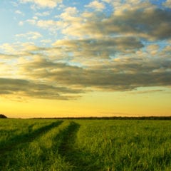 Want to build great relationships? Then start by assuming positive intent