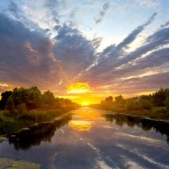 Learning and Progress go hand in hand