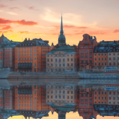 Reflections on leadership kindness and more in latest issue of IMPACT