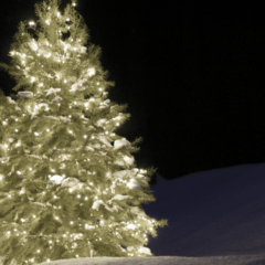 The December issue of IMPACT