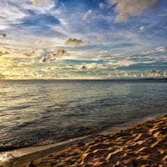 Why we love New Year’s Day