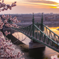 The game you never want to play + more in the February issue of IMPACT