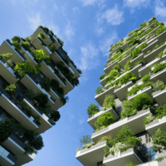 Generosity, strategy and legacy – topics in the 11th issue of IMPACT