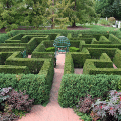 Look for the patterns