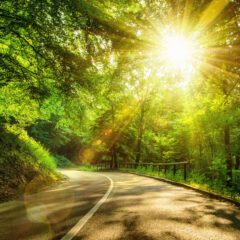 Creating a feedforward culture