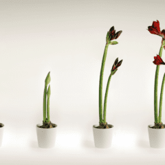 How coachable are you?