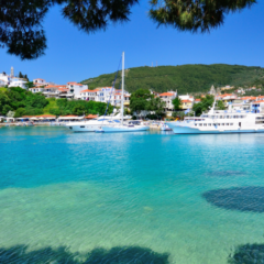 IMPACT Magazine celebrates one year