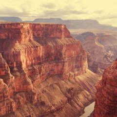 Jan/Feb issue of IMPACT is here