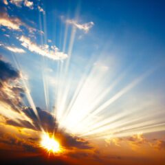 Innovation Coaching Leads to an Innovative Culture