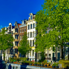 The March/April issue of IMPACT is here