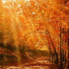 The 20th edition of IMPACT is here