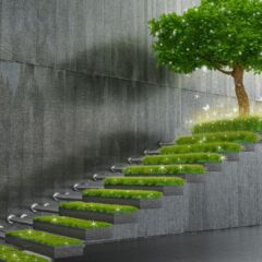 Is knowledge really power?